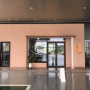 운동화빠라빠라 이미지