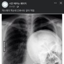 성북 은은한가 이미지