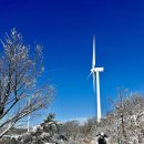 제210차 3050울산 산악회 대관령 선자령(1,400m) 정기산행 공지 이미지