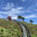 욕지도 할매바리스타 이미지