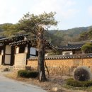 두곡할머니 Daum카페