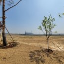 평택프라자약국 이미지