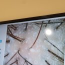 탈모케어존부산 - 동래구 충렬대로137번길 7 | 탈모케어존부산