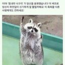 포비PC방 이미지