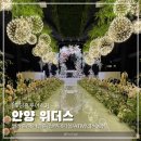 위더스(With us) | 안양 위더스ㅣ6층 벨라홀 9층 메리엘홀 후기(26년 견적공유)