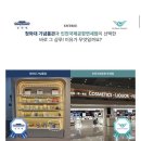 맥주효모 샴푸 추천 두피케어 샴푸 [이엠트리 맥주효모 유산균 버블폼샴푸] 사용해 본 후기!!