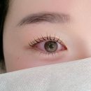 샛별 | [송파] 방이동 속눈썹맛집 "샛별래쉬" 방문후기