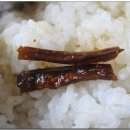 김선장횟집 이미지