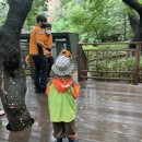 대원숲속어린이집 이미지