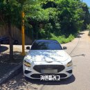 수원 제네시스 G70 3.3T 베르비에 화이트 중고차 매입 후기