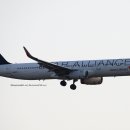 Asiana Airlines(Star Alliance Livery) (Airbus A321-231) HL8071 - 2024.4.13 이미지