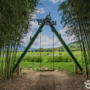 (주)제주파랑새관광여행사 이미지