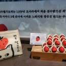 오동도유람선 | 여수 가볼만한곳 후기｜오동도·향일암·밤바다까지 직접 가본 여행지 정리
