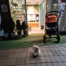 무인다방(동탄점)