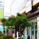 무등파크관광호텔 이미지