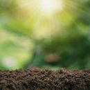 3원-天,地,人 이미지