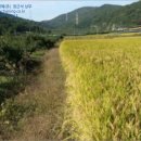 외촌리 이미지