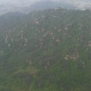 울릉위생사