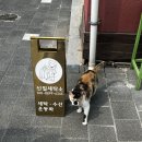 신일세탁소 이미지