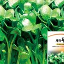 농업회사법인 새싹주식회사