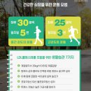 포화로 817 이미지