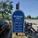 배산공원 주차장 | 익산 배산체육공원 장미꽃터널 익산 가볼 만한 곳 익산 배산체육공원 산책하기 좋은 곳 장미 개화 상황