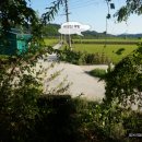 내성천 제방도로 이미지