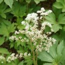 반딧불 자연휴양림 이미지