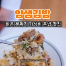 얌샘김밥고양