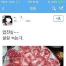 사이카이 이미지