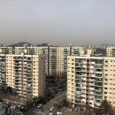 압구정-217 이미지