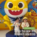 스타돌미디어 | 아기상어의 비밀초대장 DDP 어린이전시 서울 아이랑 갈만한 곳 두 돌 아기 후기