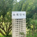 퇴곡2리 | 강릉 가성비 독채 펜션 나만 알고 싶은 초록민박 &#39;라&#39;방 후기