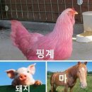 배산역 이미지
