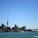 하버크루즈 이미지