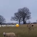 부농목장 이미지