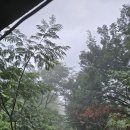 산골덧밭소식. 울엄마 ^^남에일을 보아줄때는 3년상까지 보아주어라^^ 이미지