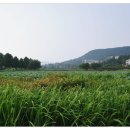 임마누엘 의료기 산업 이미지