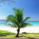 파라다이스 이미지