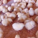 쾌청농장 이미지