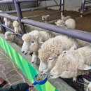 소리공원 | 거제가볼만한곳 아이들과 함께 숲소리공원 모노레일 탑승후기