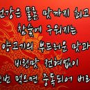 훙쓰양꼬치 이미지