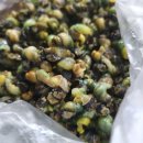 산내산천매운탕 이미지