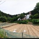 포남2동-2 이미지