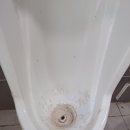 전주온빛초등학교 이미지