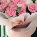 더 피올라 플라워 이미지