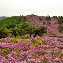 삼비산농장 이미지