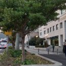 제주코아 관광호텔 이미지