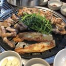 보담육풍