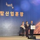 동막 이미지